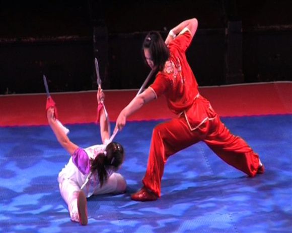 Kung Fu ad alto livello presso il Parco Commerciale “I Pini”