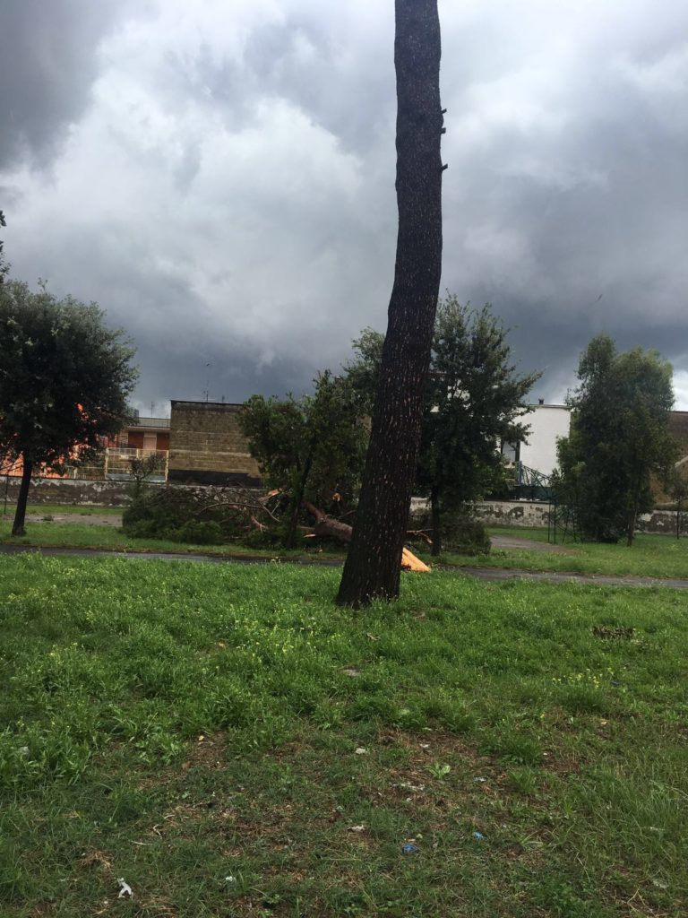 Tempesta a Caivano, due piccole trombe d’aria, alcuni tetti scoperchiati, albero cade alla “Papa Giovanni”, caos a via Necropoli