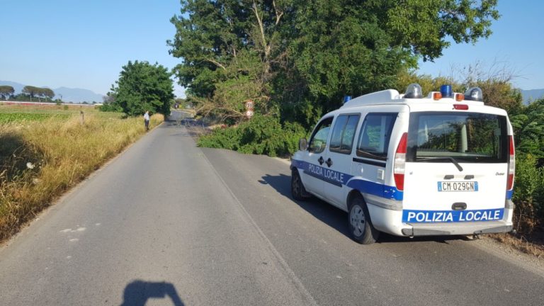 Giornata nera, un altro incidente allo stesso punto mentre un albero cade sulla strada Caivano-Acerra