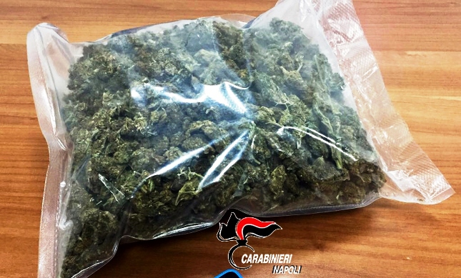 sequestro 530 grammi di marijuana