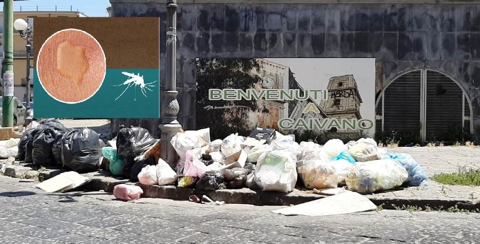 Forza Italia Caivano scrive alla Commissione per rifiuti e insetti