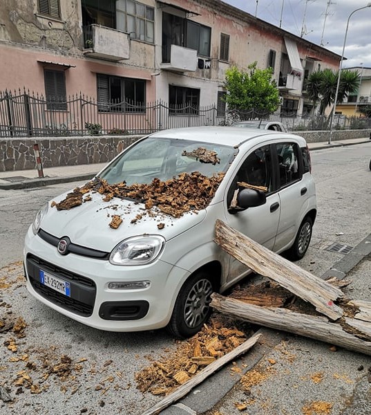 Cade un albero a via De Gasperi e danneggia un’autovettura