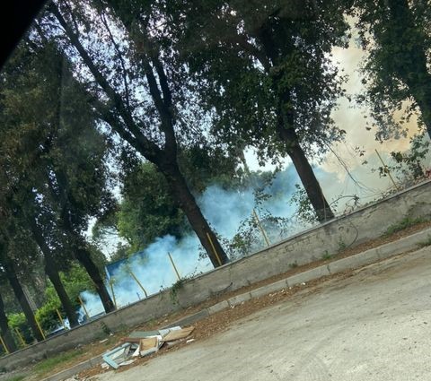 Rogo tossico “Centro Delphinia”, in fiamme pedane ed immondizia