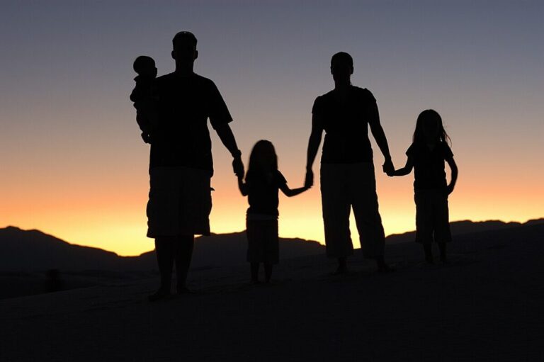 IL PROGETTO. “Conciliazione e welfare: prendersi cura delle famiglie”