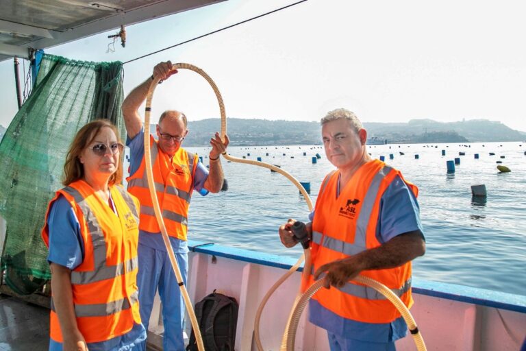 I CONTROLLI. Asl Napoli 2 Nord, proseguono i campionamenti negli allevamenti a mare di cozze: superata la fase di massima attenzione per il virus dell’epatite A